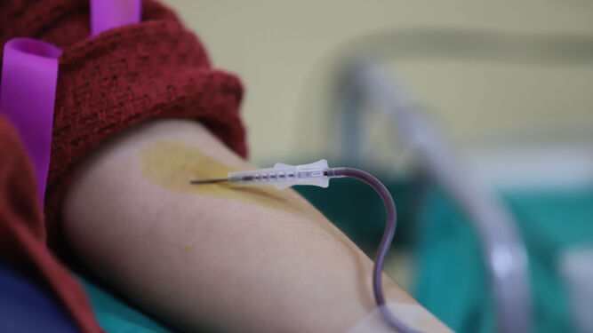 Sevilla necesita donaciones de sangre con urgencia: lugar y horario