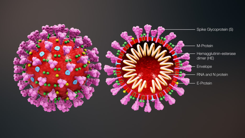 Mapa del coronavirus en la provincia de Sevilla: repunte de contagios tras dos semanas de confinamiento