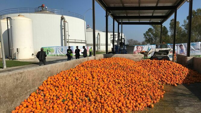 Emasesa planea convertir el Copero en su laboratorio contra el cambio climático