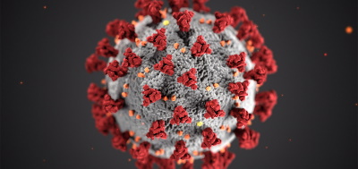 Un fármaco contra el cáncer logra frenar un coronavirus humano
