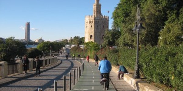 Sevilla junto a otras ciudades promueven una declaración para fomentar el uso de la bici como medio de transporte seguro y sostenible ante la crisis sanitaria por la COVID 19