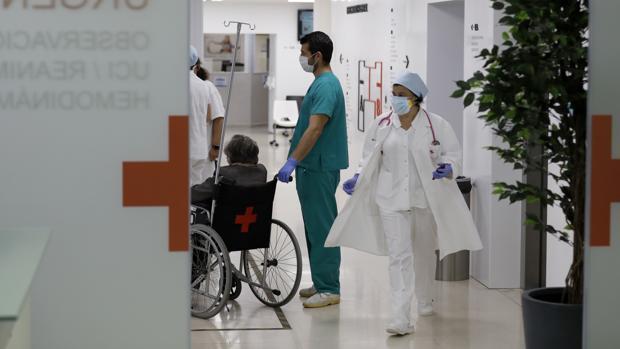 Andalucía registra 117 nuevos contagios de coronavirus en un día