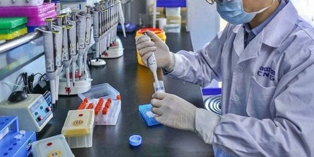 Investigadores andaluces desarrollan la primera súper bacteria buena capaz de reforzar nuestro sistema inmune