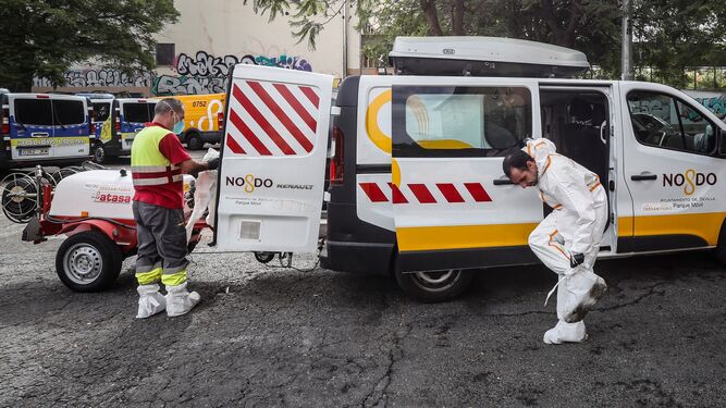 El mercado de Las Palmeritas reabre el lunes «con las máximas garantías de seguridad»