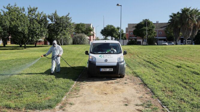 Muere tras recibir el alta uno de los afectados por el virus del Nilo