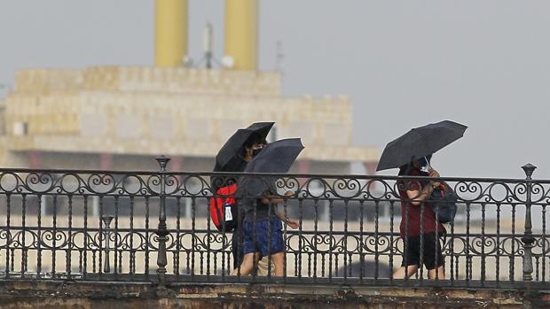 Alerta amarilla: cierran los parques de Sevilla por previsión de fuertes rachas de viento