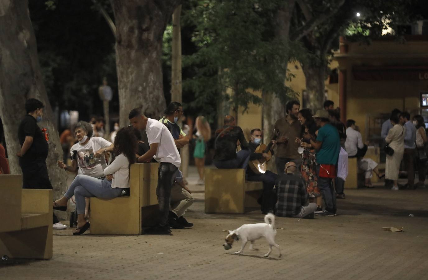 La Policía de Sevilla despliega un dispositivo para frenar los desmadres tras el fin del toque de queda