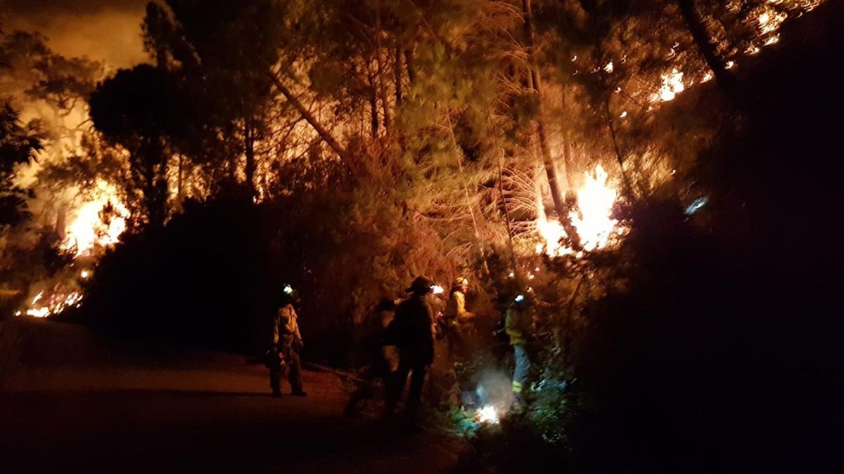 «Es un infierno»: El fuego de Sierra Bermeja avanza sin control como «un monstruo hambriento»