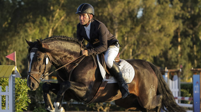 El caballo español, marca Andalucía para el mundo