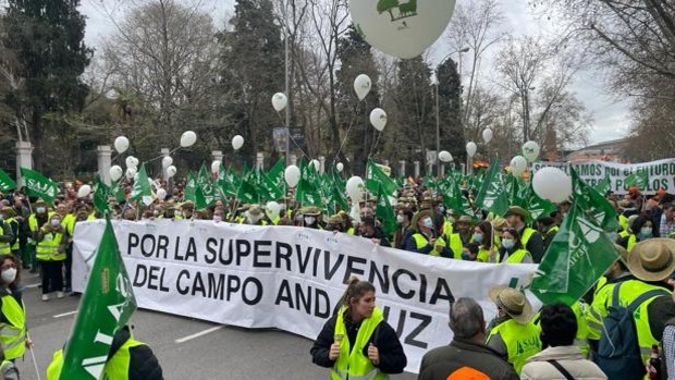 Más de 60.000 andaluces se manifiestan en Madrid por el futuro del campo